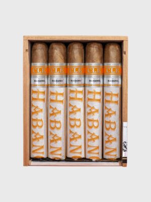 CLE ROBUSTO CRIOLLO