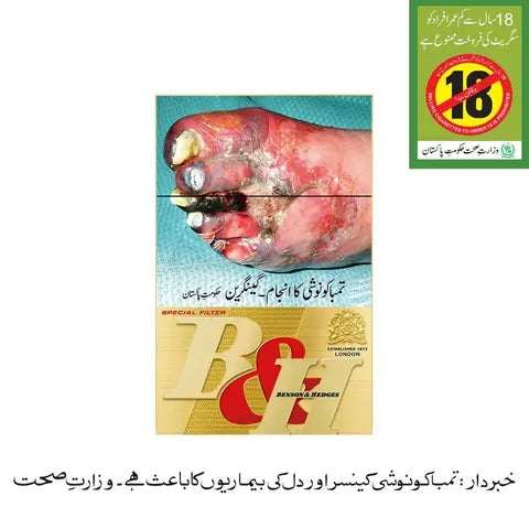 Benson &amp; Hedges Special Filter